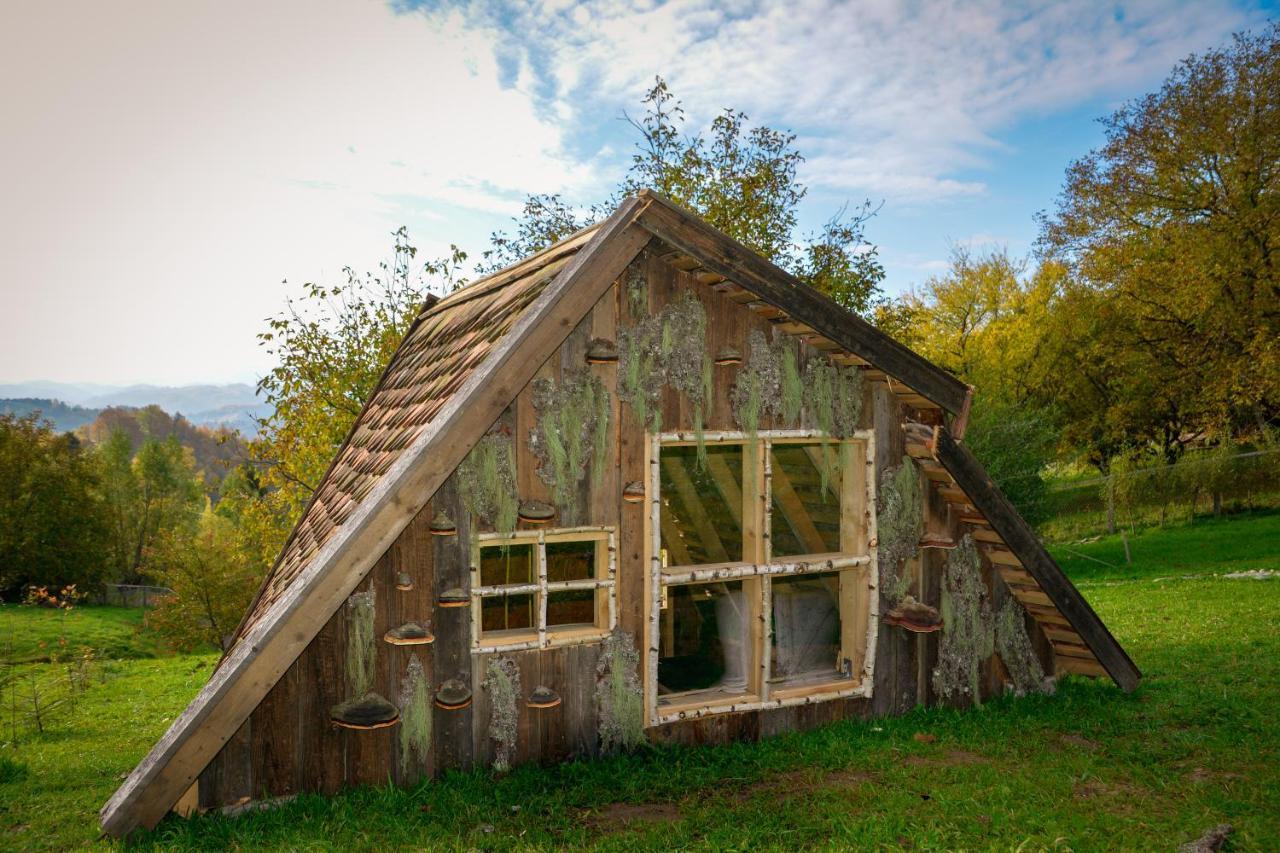Villa Casa Wezly à Măgura Extérieur photo