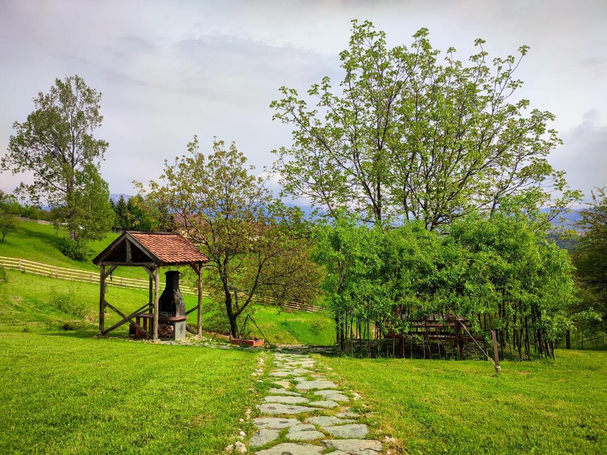 Villa Casa Wezly à Măgura Extérieur photo